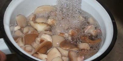 маринованные маслята