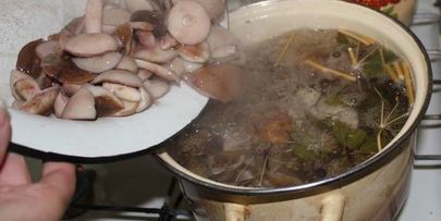 маринованные маслята