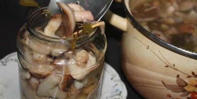 маринованные маслята