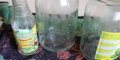 маринованные моховики на зиму