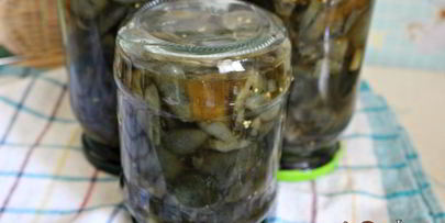 маринованные моховики на зиму