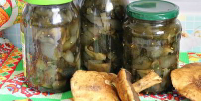 маринованные моховики на зиму