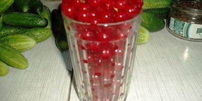 маринованные огурчики с ягодами красной смородины