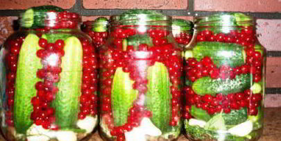 маринованные огурчики с ягодами красной смородины