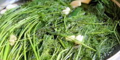 маринованные огурцы без уксуса