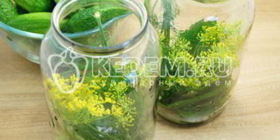 маринованные огурцы на зиму в банках