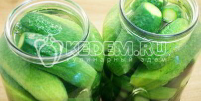 маринованные огурцы на зиму в банках