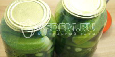 маринованные огурцы на зиму в банках