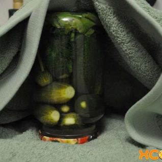 Маринованные огурцы на зиму