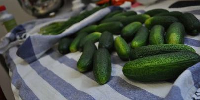 маринованные огурцы на зиму