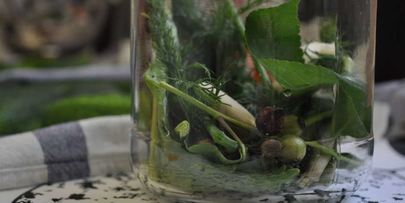 маринованные огурцы на зиму