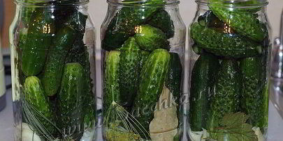 маринованные огурцы