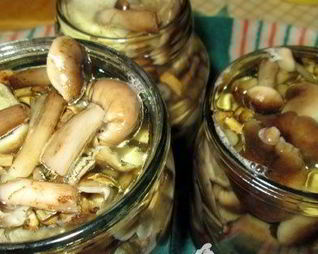 Маринованные опята без уксуса