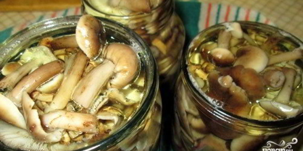 Рецепт маринованные опята без уксуса