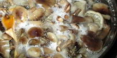 маринованные опята без уксуса
