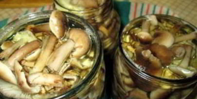 маринованные опята без уксуса