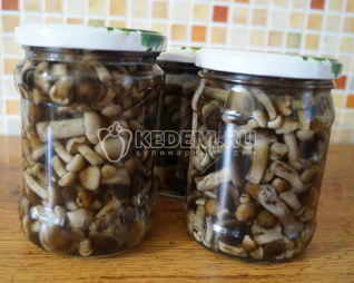 Маринованные опята Малыши в банке
