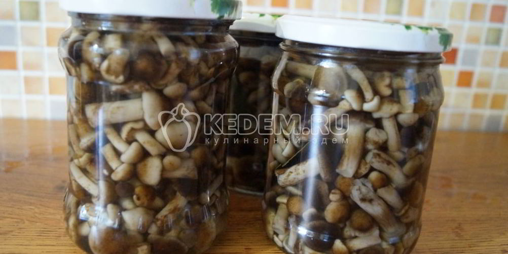 Рецепт маринованные опята малыши в банке
