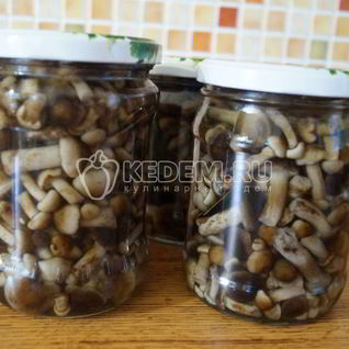 Маринованные опята Малыши в банке