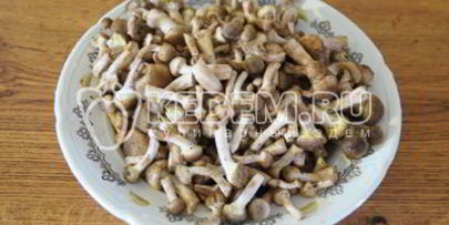 маринованные опята малыши в банке