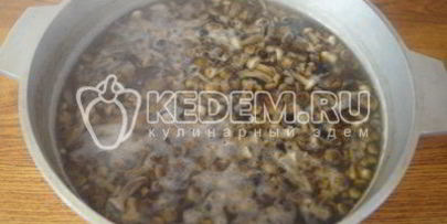 маринованные опята малыши в банке