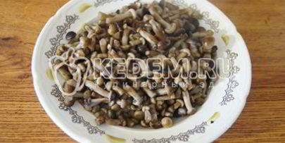 маринованные опята малыши в банке