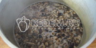 маринованные опята малыши в банке