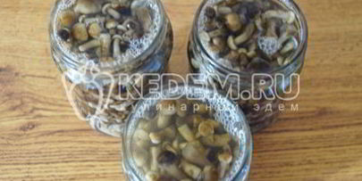 маринованные опята малыши в банке