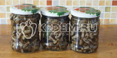 маринованные опята малыши в банке