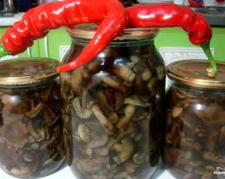 Маринованные опята с гвоздикой