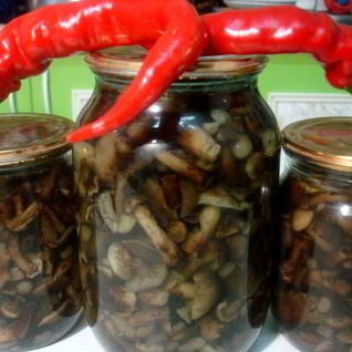 Маринованные опята с гвоздикой
