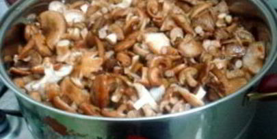 маринованные опята с гвоздикой