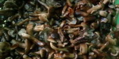 маринованные опята с гвоздикой