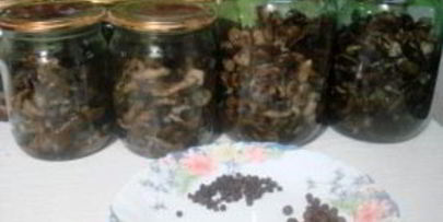 маринованные опята с гвоздикой