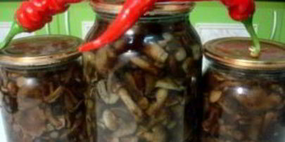 маринованные опята с гвоздикой