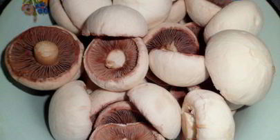 маринованные шампиньоны в соевом соусе