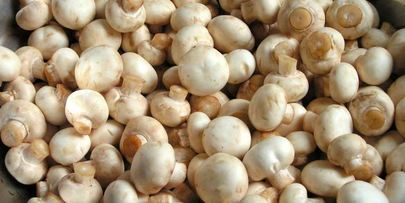 маринованные шампиньоны, закрытые на зиму