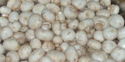 маринованные шампиньоны, закрытые на зиму