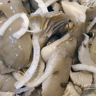 Маринованные вешенки