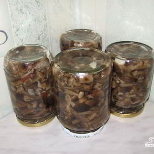 Опята, маринованные в банках