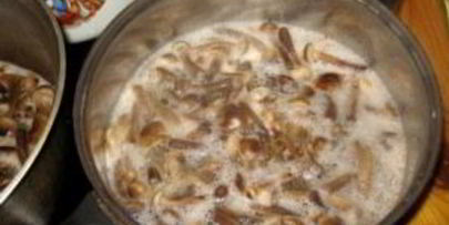 опята, маринованные в банках