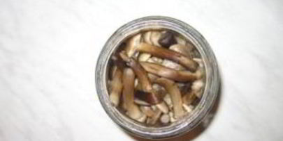 опята, маринованные в банках