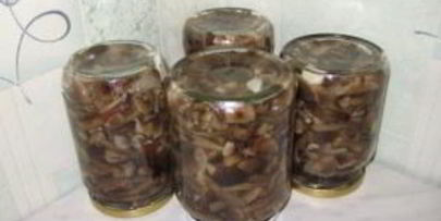 опята, маринованные в банках