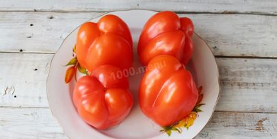 перец фаршированный капустой на зиму