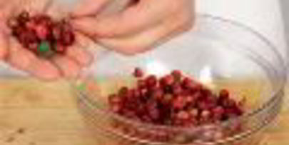 протертые ягоды