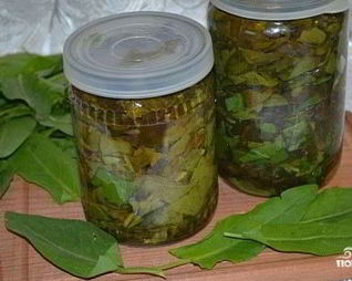Щавель на зиму в банке