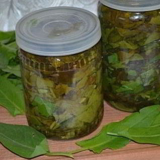 Щавель на зиму в банке