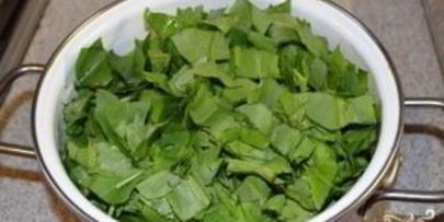 щавель на зиму в банке