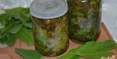 щавель на зиму в банке