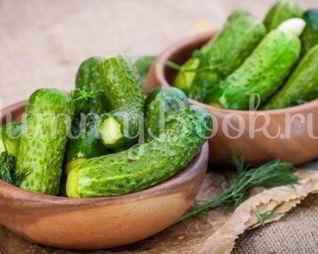 Малосольные огурцы